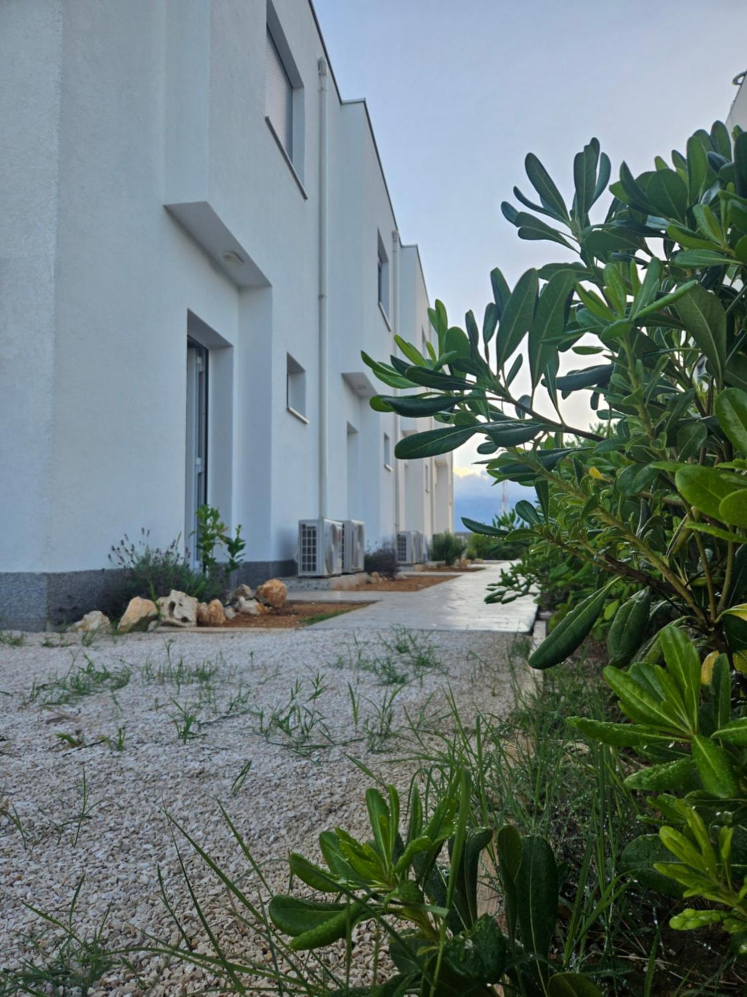 Bura House Povljana Quarto foto